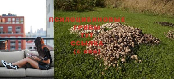 мдпв Волгодонск