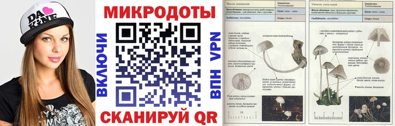 Псилоцибиновые грибы GOLDEN TEACHER  Карабаш 