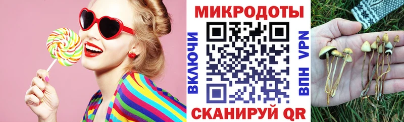 Псилоцибиновые грибы GOLDEN TEACHER Карабаш