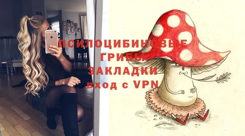 Галлюциногенные грибы Psilocybe  купить наркотик  Карабаш 